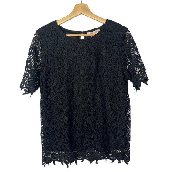 Philosophy Black Round Neck Lace Short Sleeve Blouse M - Picture 3 of 5